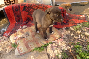 hier der Nachbar der "Lösung"